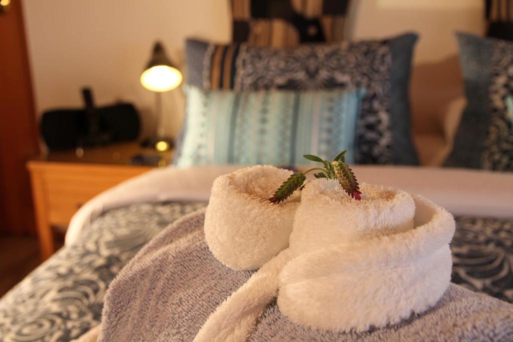 Chalet Romantica Paihia Cameră foto